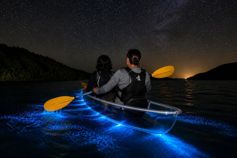 Vieques Bio Bay Kayak Experience - From Mainland Puerto Rico