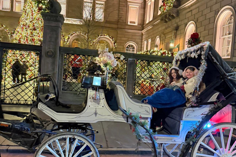 NYC: Central Park Christmas Lights Horse-Drawn Carriage Ride