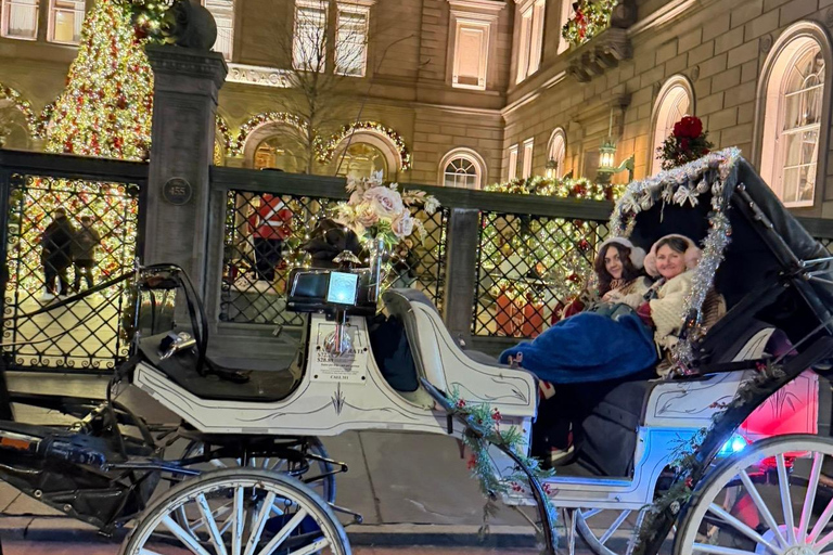 NYC: Central Park Christmas Lights Horse-Drawn Carriage Ride