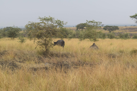 Parc des chutes de Murchison : safari de 3 jours avec le sanctuaire des rhinocéros de Ziwa