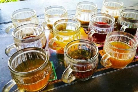 Bali: Private Jungle Swing, Waterfall & Rice Paddy Tour Private Tour with Entrance Fess