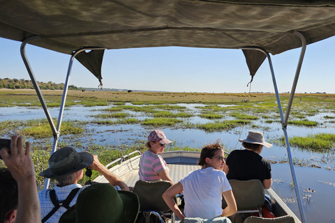 Chobe Tagestour im Chobe National Park