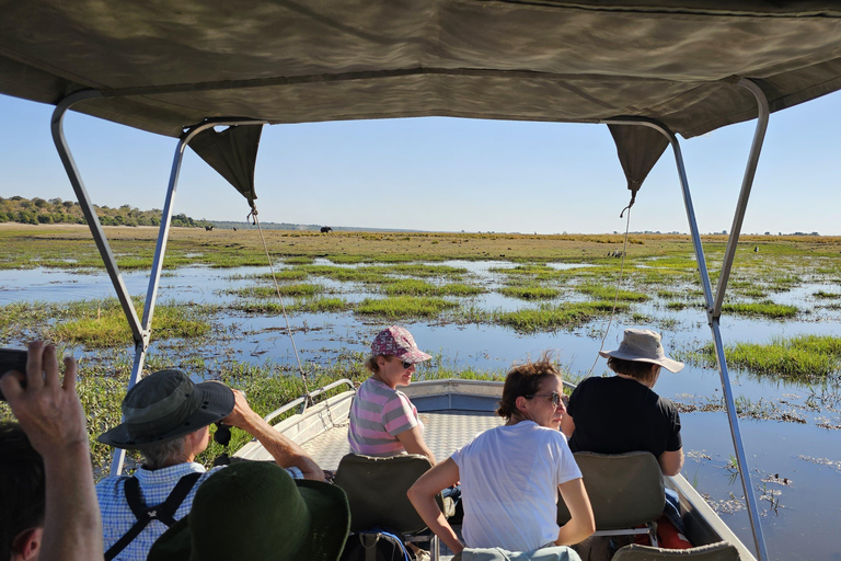 Chobe dagsutflykt i Chobe nationalpark