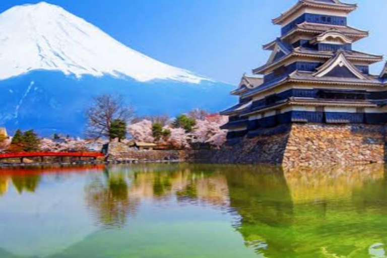 Tokyo: 7-Day Japan Highlights Private Guided Tour