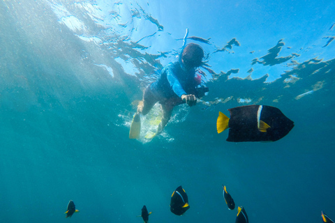 Vallarta: Yelapa Waterfall & Majahuitas Snorkel Adventure