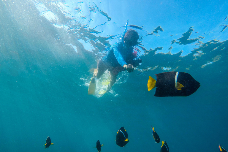 Vallarta: Yelapa Waterfall & Majahuitas Snorkel Adventure