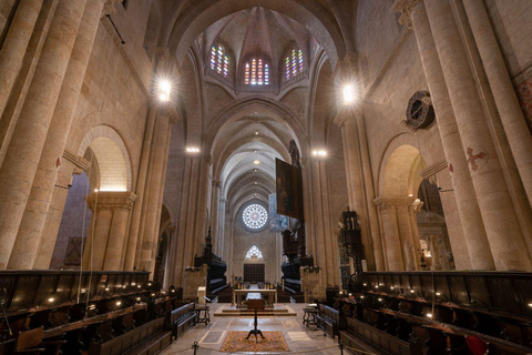 Tarragona: Ingresso para a CatedralTarragona: ingresso para a catedral