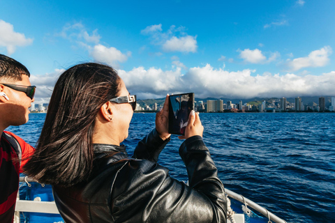 Honolulu, Oahu: Waikiki Whale Watching Cruise