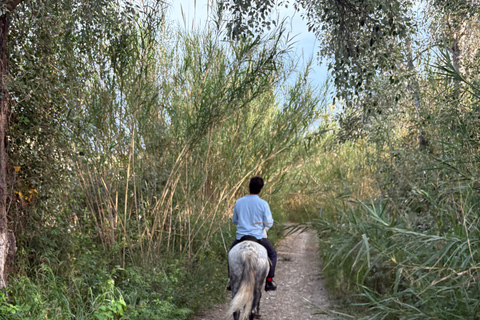 Polop: Horse ride near Benidorm (1 hour) Polop: Horseback Ride + Transportation