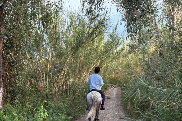 Polop: Horse ride near Benidorm (1 hour) Polop: Horseback Ride + Transportation