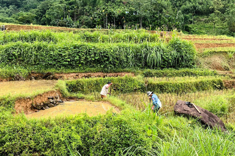 Pu Luong Jeep Tour: S-Curve, Rice Terraces & Lan Village