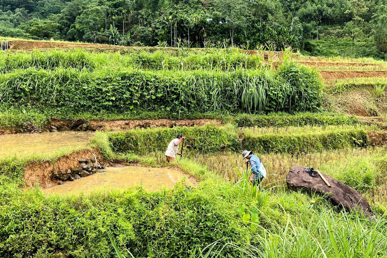 Pu Luong Jeep Tour: S-Curve, Rice Terraces & Lan Village