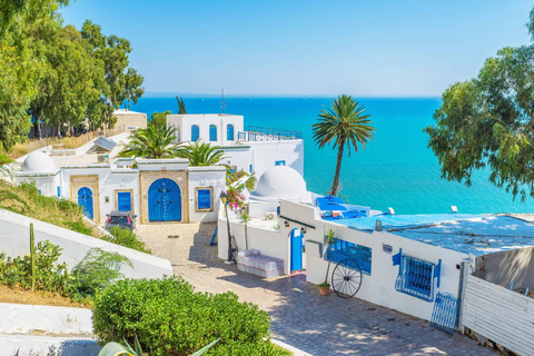 Tunis : Visite privée de Carthage, Sidi Bou Said et la Médina