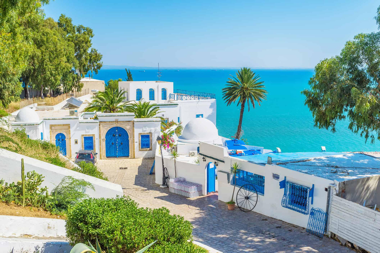 Túnis: Excursão de um dia particular a Cartago, Sidi Bou Said e Medina