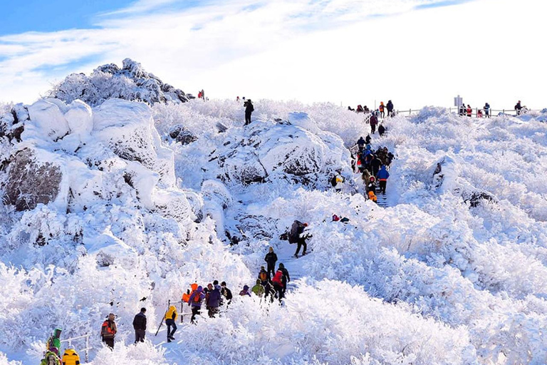 Busan: Muju Winter Hiking & Scenic Resort Day Trip C. Ski & Board Tour (Equipment Only) 7years▲