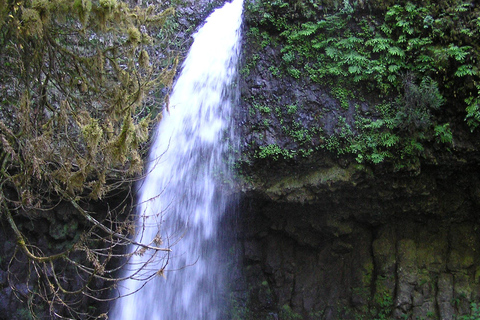 Portland: Multnomah Falls Day Trip with Transport