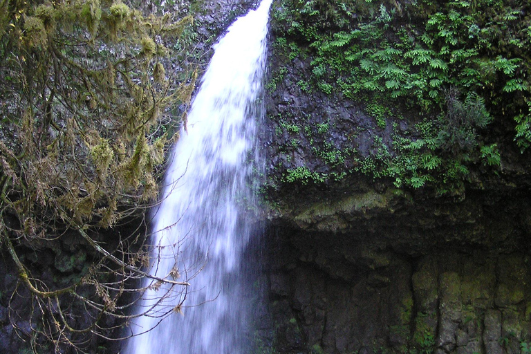 Portland: Multnomah Falls Day Trip with Transport