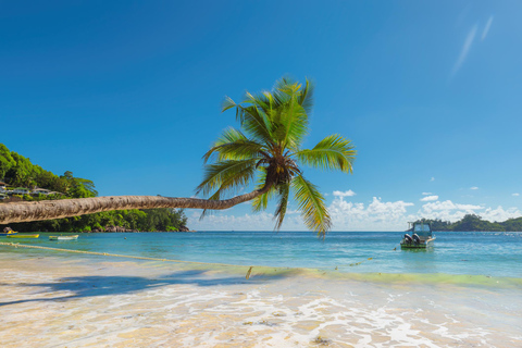 Cancun: Glass-bottom boat tour