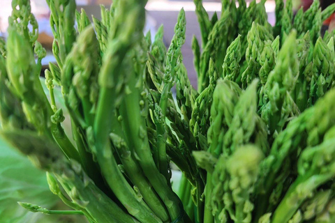 From Penang: Cameron Highlands Refreshing Private Day Tour