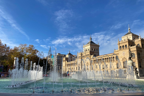 VALLADOLID - visit the city of kings with a sommelier. Art and wine.