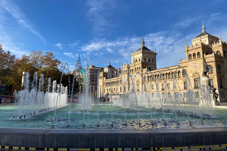 VALLADOLID - visit the city of kings with a sommelier. Art and wine.