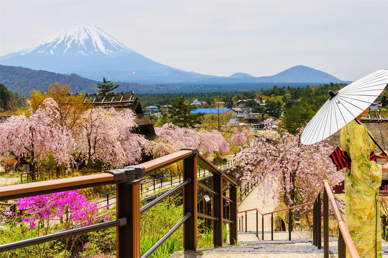 Wycieczka na górę Fuji: jezioro Kawaguchi, świątynia, wioska uzdrowiskowa i pagoda8:30 Wyjazd ze stacji Shinjuku — bez lunchu