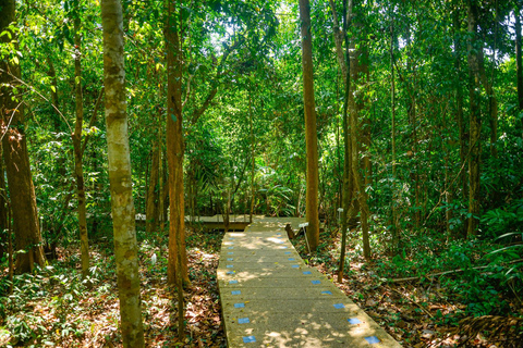 Escapade privée à Krabi : Piscine d'émeraude, sources d'eau chaude et grotte du tigreFourgon privé