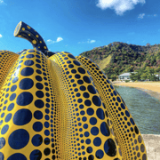 Naoshima Private Tour with Private Car