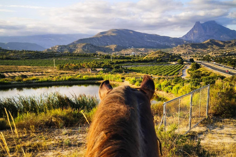 Alicante: Villajoyosa 2-hour Horseback Riding Tour