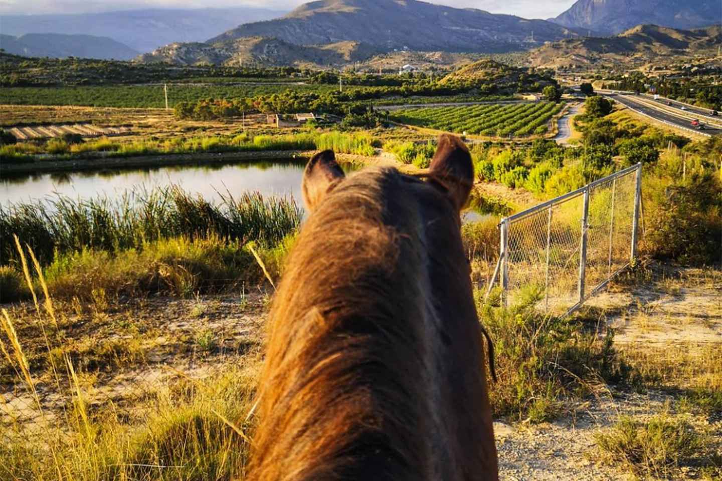 Paseo a Caballo en las Montañas de Villajoyosa con vistas al mar
