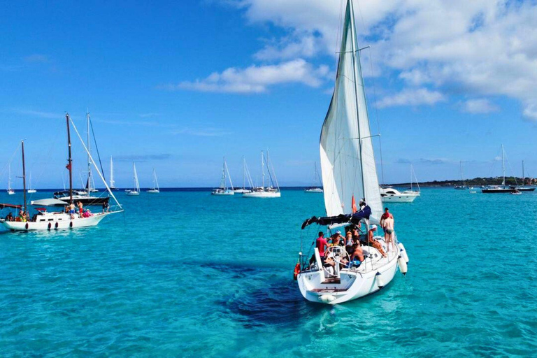 From Stintino: Asinara Sailboat Tour with Lunch Sailboat Tour and Lunch with 11 Seats