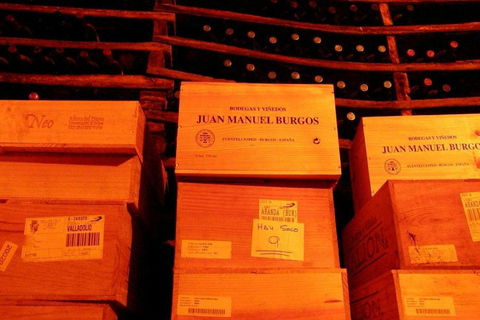 Aranda de Duero: Guided and Dramatized Visit to Medieval Wi