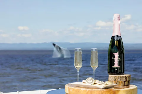 Tadoussac/Charlevoix : Salon VIP/pont supérieur Observation des baleines