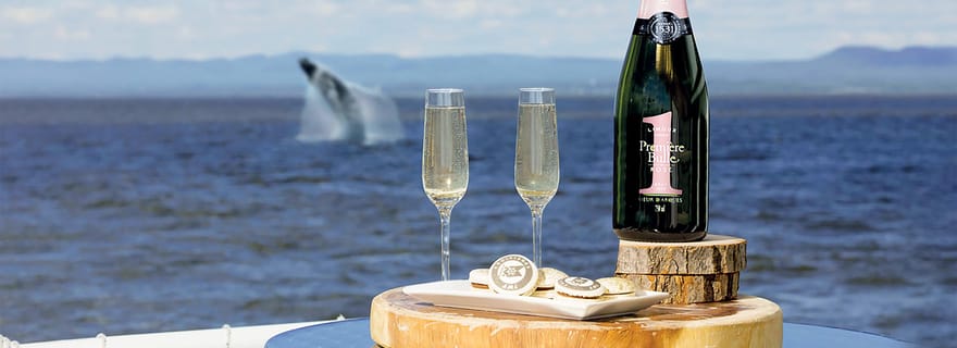 Tadoussac/Charlevoix : salon VIP OU pont supérieur pour l'observation des baleines