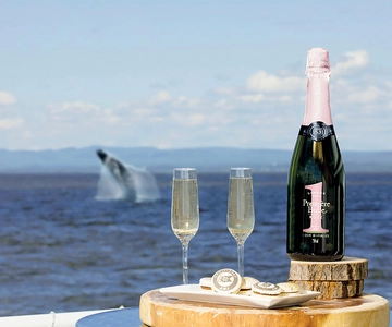 Tadoussac/Charlevoix: VIP Lounge/Upper Deck Whale Watching
