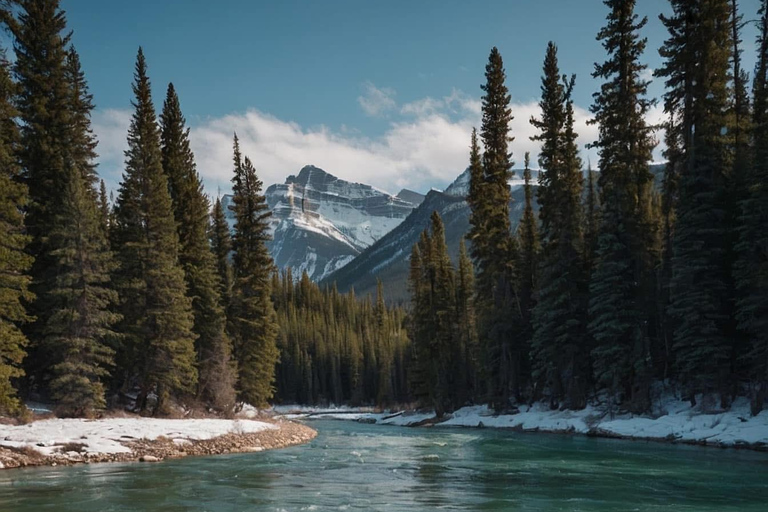 Calgary, Banff: Lake Louise, Moraine, Emerald Lake - excursão de um diaCalgary, Banff: Excursão de um dia ao Lago Louise, Moraine e Lago Emerald