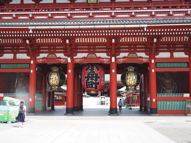 Tailored private tour in Tokyo by govenment licesed guide