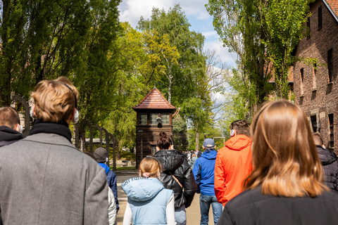 From Krakow: Auschwitz-Birkenau Guided Tour with Transport