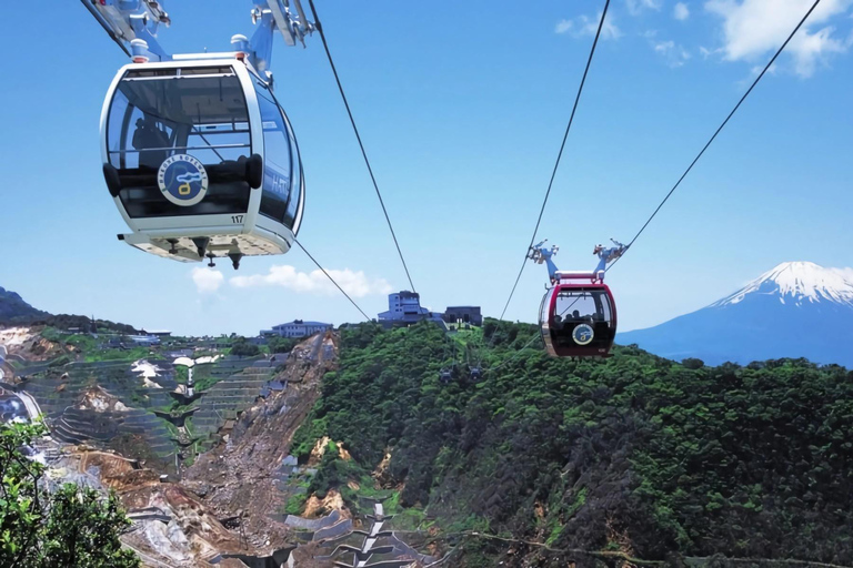 Tokyo: Escursione di un giorno sul Monte Fuji e Hakone con funivia e crociera