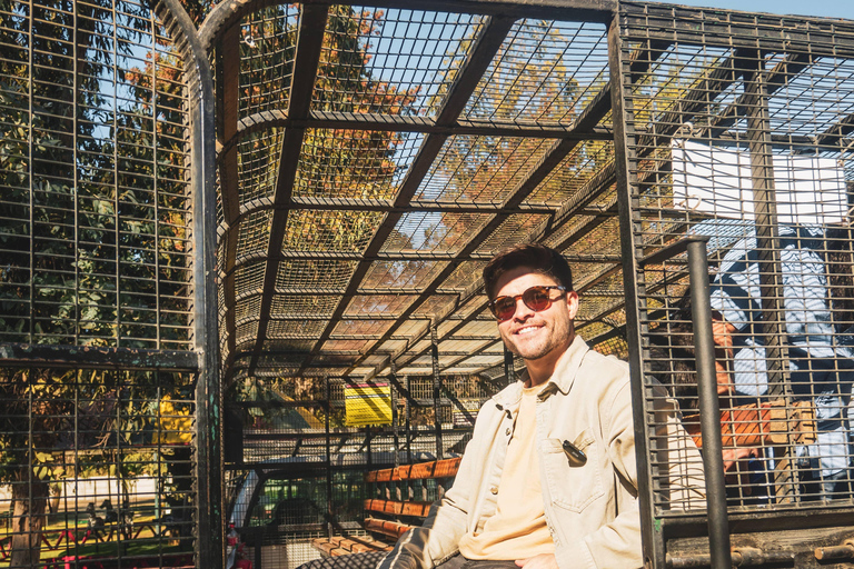 From Santiago: Rancagua Safari Park Zoo