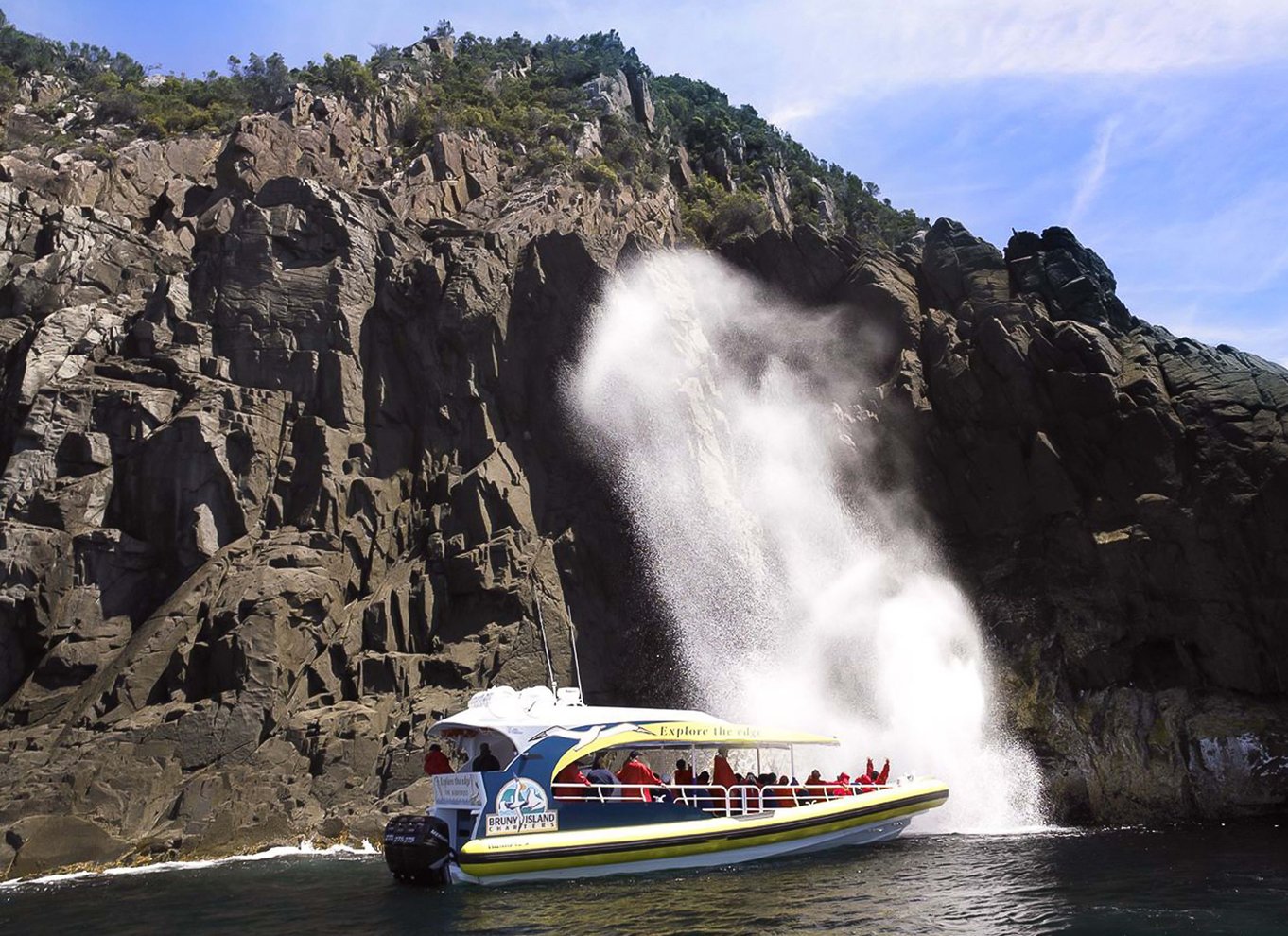 Hobart: Bruny Island Wilderness Coast Eco Cruise med frokost