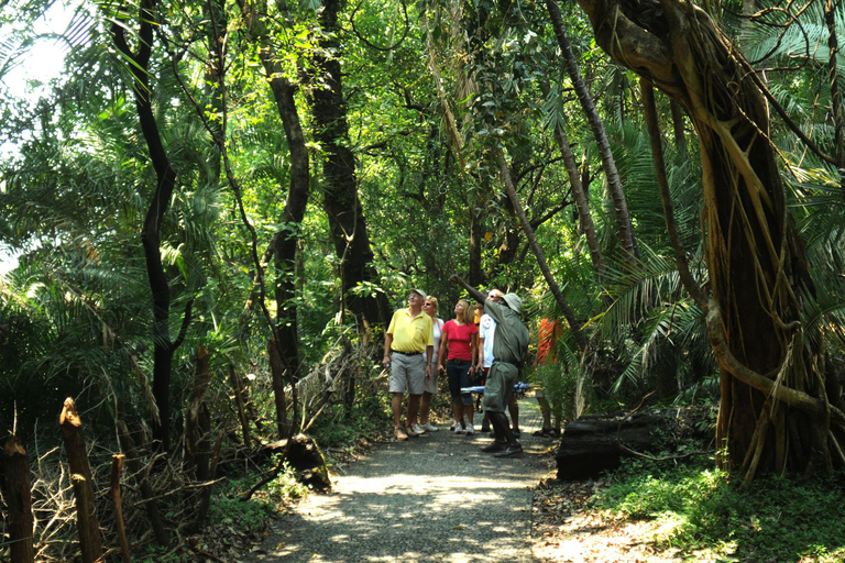 Victoria Falls: Guided TourVictoria Falls: Guided Tour - Zambian Side