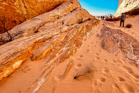 Las Vegas: Hoover Dam, Valley of Fire, Boulder City Day Tour Las Vegas: 6 Hour Small Group Tour Hoover Dam/Valley of Fire