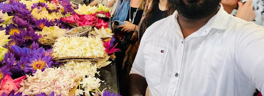 Excursion d'une journée à Kandy depuis Colombo, Negombo ou Katunayake