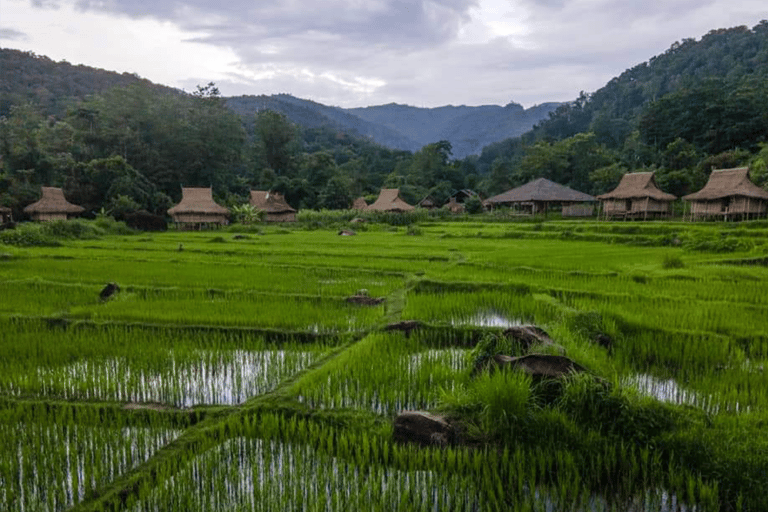 Muang Xay: 3-Day Oudomxay, Nongkho, & Luang Prabang Tour
