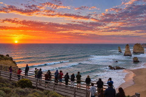 Melbourne: Great Ocean Road Tour, 12 Apostles & Apollo Bay Melbourne CBD Meeting Point (Max 50 guests)