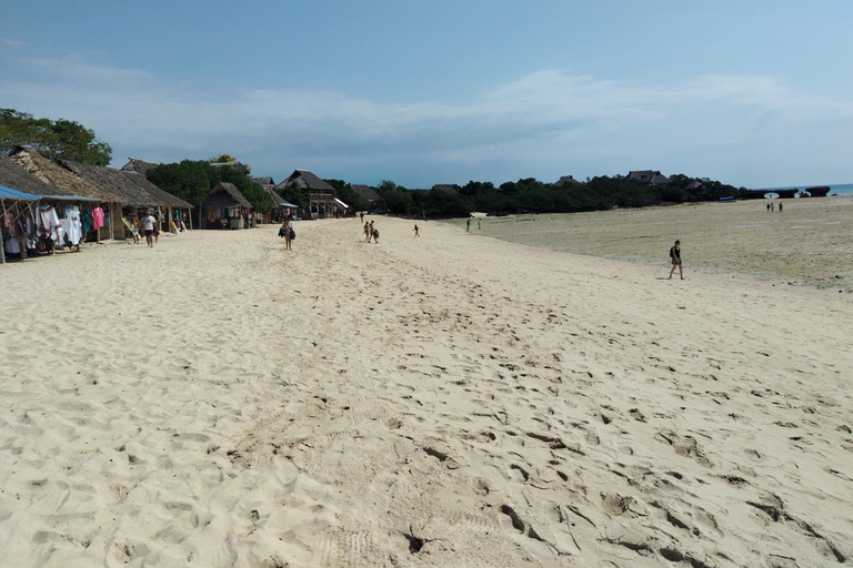 Zanzibar;Blue Safari Snorkeling & Blue Lagoon with BBQ lunch Pickup anywhere (All inclusive)