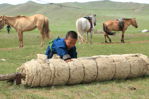 Ulaanbaatar: Nomadic Culture Show & Wild Horse Park Day Tour