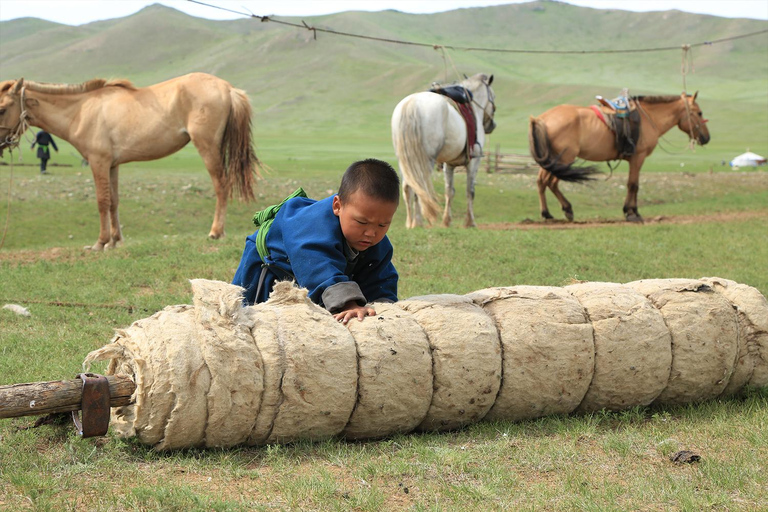 Ulaanbaatar: Nomadic Culture Show & Wild Horse Park Day Tour