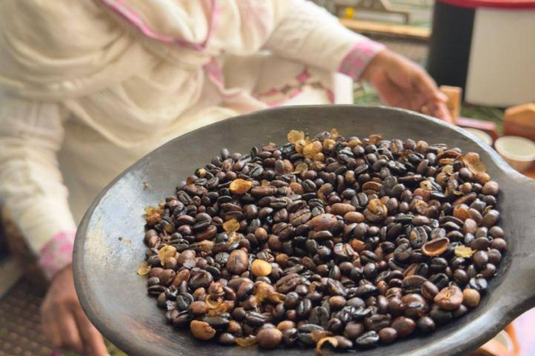 Ethiopia Coffee Tour: 3 Days / 2 Nights in Yirgalem